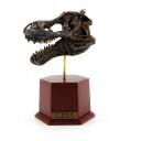 Modèle de crâne de T-rex à assembler sur un socle avec étiquette Hauteur 14 cm Kit de construction en plastique fossile Décoration pour étagère 1