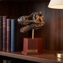 Modèle de crâne de T-rex à assembler sur un socle avec étiquette Hauteur 14 cm Kit de construction en plastique fossile Décoration pour étagère 4
