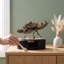 Modèle de squelette de stégosaure à assembler sur un socle rond Longueur 15 cm Hauteur 14 cm Kit de construction en plastique fossile Décoration 4