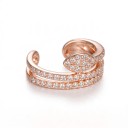 Záušnice senza piercing 1 pz Doppia manichetta con zirconi e foglia Ear cuff per cartilagine Acciaio inossidabile Gioiello scintillante 2