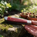 Skládací zahradní nůž se dvěma špičatými čepelemi 15,5 cm Čepele z nerezové oceli 5Cr15 Rukojeť z červeného dřeva Na roubování 5