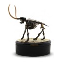 Modèle de squelette de mammouth à assembler sur socle rond Longueur 14 cm Hauteur 17 cm Kit de construction en plastique fossile Décoration 1