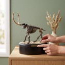 Modèle de squelette de mammouth à assembler sur socle rond Longueur 14 cm Hauteur 17 cm Kit de construction en plastique fossile Décoration 3