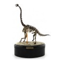 Modèle de squelette de brachiosaure à assembler sur un socle rond Longueur 15 cm Hauteur 21 cm Kit de construction en plastique fossile Décoration 1