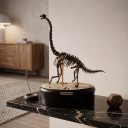 Modèle de squelette de brachiosaure à assembler sur un socle rond Longueur 15 cm Hauteur 21 cm Kit de construction en plastique fossile Décoration 2