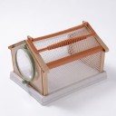 Gabbia portatile per farfalle e insetti con manico 20 x 15 x 13,5 cm Casa pieghevole in plastica con rete Osservazione delle larve 3