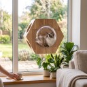 Cápsula hexagonal para gatos en la ventana 51 x 44 x 24,5 cm Cúpula transparente y orificios laterales de 14 cm Madera maciza Con ventosas 2
