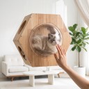 Cápsula hexagonal para gatos en la ventana 51 x 44 x 24,5 cm Cúpula transparente y orificios laterales de 14 cm Madera maciza Con ventosas 3