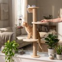 Sisal-Säule für Katzen mit Saugnäpfen 1 m mit 2 runden Plattformen 30 cm und Basis Massivholz und Sisal Kletter-Säule für das Fenster 2
