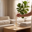 Glasflaske til æteriske olier med diffuserstænger 200 ml 10 x 16,5 cm Rund krukke i emballage Gennemsigtig Til stuen og soveværelset 4