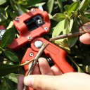 Forbici da innesto in valigetta con coltelli per 4 tipi di taglio Lunghezza 20 cm Testa in acciaio legato Nastro 3 cm Cacciavite e chiave Per alberi 2