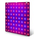 LED Growing Panel for Plants 81 LED 18 x 18 cm Red and Blue Spectrum Aluminium Plate Hanging Kit for Seedlings Herbs and Flowers 1