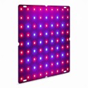 LED Growing Panel for Plants 81 LED 18 x 18 cm Red and Blue Spectrum Aluminium Plate Hanging Kit for Seedlings Herbs and Flowers 3