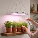LED Growing Panel for Plants 81 LED 18 x 18 cm Red and Blue Spectrum Aluminium Plate Hanging Kit for Seedlings Herbs and Flowers 4