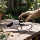 Forbici da giardinaggio per rami Lunghezza 20 cm Lama 6 cm Taglio fino a 20 mm Corpo in metallo Manico antiscivolo Argento e nero Per alberi e arbusti 5