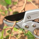 Forbici da giardinaggio per rami Lunghezza 20 cm Lama 6 cm Taglio fino a 20 mm Corpo in metallo Manico antiscivolo Argento e nero Per alberi e arbusti 8