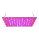 LED Grow Panel for Plants 169 LEDs 25.2 x 25.2 cm Red and Blue Spectrum Aluminium Plate Hanging Kit for Seedlings and Vegetables 1