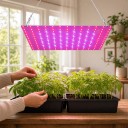 LED Grow Panel for Plants 169 LEDs 25.2 x 25.2 cm Red and Blue Spectrum Aluminium Plate Hanging Kit for Seedlings and Vegetables 2
