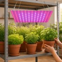 LED Grow Panel for Plants 169 LEDs 25.2 x 25.2 cm Red and Blue Spectrum Aluminium Plate Hanging Kit for Seedlings and Vegetables 3