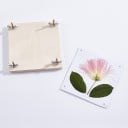 Lis na kvety a listy Drevený mini lis 10 x 10 cm So skrutkami a krídlovými maticami Na sušenie rastlín Herbár a kreatívne tvorenie 2