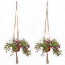 Macramé ophæng til blomsterkrukker 2 stk 90 cm Håndlavet af reb af plantefibre Naturlig nuance Til stue- og udendørsplanter 7