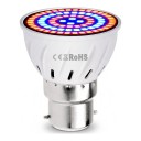 LED lâmpada para cultivo de plantas B22 60 LED Espectro vermelho e azul SMD 2835 Corpo plástico branco Para mudas ervas e flores 1