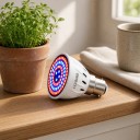 LED lâmpada para cultivo de plantas B22 80 LED Espectro Vermelho e Azul SMD 2835 Corpo de Plástico Branco Para Sementes Ervas e Flores 3