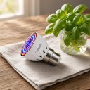 LED lâmpada para cultivo de plantas B22 80 LED Espectro Vermelho e Azul SMD 2835 Corpo de Plástico Branco Para Sementes Ervas e Flores 6