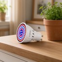 LED lâmpada para cultivo de plantas GU10 80 LED Espectro vermelho e azul SMD 2835 Corpo plástico branco Para mudas ervas e flores 4