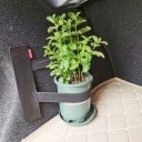 Elastický držák do kufru auta 38 cm ve tvaru H Dva pružné pásy se suchým zipem Textil a nylon Černý Upevnění hasicího přístroje a lahví 3