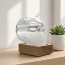 Bouřkové sklo Storm Glass ve tvaru lebky 10 x 9 cm Skleněný barometr s krystaly na dřevěném podstavci Dekorace na stůl 3