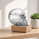 Bouřkové sklo Storm Glass ve tvaru lebky 10 x 9 cm Skleněný barometr s krystaly na dřevěném podstavci Dekorace na stůl 5
