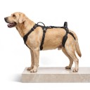 Støttesele til hunde med to håndtag til løft og transport Størrelse L Hals 48,2-59,7 cm Bryst 59,2-73,6 cm Refleksive elementer Sort 2