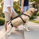 Støtteharness til hunde med to håndtag til løft og transport Størrelse M Hals 36,8-45,7 cm Bryst 41,6-52 cm Refleksive elementer Sort 4