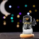 Bouřkové sklo Storm Glass ve tvaru kočky s netopýřími křídly 11 x 10 cm Skleněný barometr s krystaly Dekorace na stůl 7