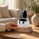 Bouřkové sklo Storm Glass ve tvaru zajíčka 8 x 13,5 cm Skleněný barometr s krystaly Dřevěný podstavec Dekorace na stůl 6