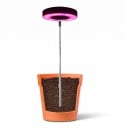 Luz LED de Cultivo com Base Vara Telescópica 20–66,3 cm 3 Modos de Luz Dimerização Temporizador USB Preto Para Plantas de Interior 5