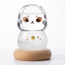Bouřkové sklo Storm Glass ve tvaru kočky v helmě 9 x 5,5 cm Průhledný skleněný barometr s krystaly Dřevěný podstavec Dekorace 1