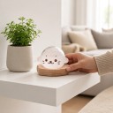 Bouřkové sklo Storm Glass ve tvaru tuleně s potiskem obličeje Skleněný barometr s krystaly Tvarovaný dřevěný podstavec Dekorace na stůl 3