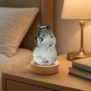Bouřkové sklo Storm Glass ve tvaru kočky s obláčky 12,3 x 8 cm Skleněný barometr s krystaly Kulatý dřevěný podstavec 6
