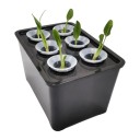 Hydroponisk dyrkningsboks 4 stk med 6 huller 18 x 12 x 10,5 cm Plastbeholder med låg og kurve Sort Til urter og grøntsager derhjemme 3