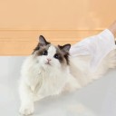 Vådservietter til rengøring af hunde og katte 24 stk 4 pakker med 6 stk Engangs Uden skylning rengøring uden vand 16 x 14 cm Til pelspleje 2