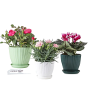 19 x 16 x 16 cm Rund blomkruka med fat Av plastmaterial Utomhus- och inredningsdekoration Väderbeständig 2