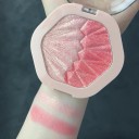 2 in 1 poederblush palette 8 x 7,6 cm Poederblush voor het gezicht Compacte make-up palette Natuurlijke langdurige effect 2