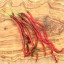 20 ks semienok chilli Pálivá paprika THUNDER MOUNTAIN LONGHORN chilli semená červená Capsicum annuum ľahké pestovanie 4
