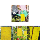 20 pcs Piège à insectes volants jaune double face 10 × 15 cm plaques adhésives pour attraper les insectes à la maison, dans la serre et près des plantes 6