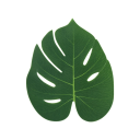 24 pcs Artificial Tropical Palm Leaves 20x24.5 cm Table Decoration Jungle Safari Summer Hawaiian Weddings Birthdays Parties Home Decor 1