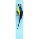 25 cm kreativer handgefertigter künstlicher Papagei, Dekovogel aus Schaumstoff und Federn, realistische Zweigdekoration, Inneneinrichtung, exotischer Look 2