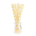 25 pcs Pailles en papier avec motif de fruits 4
