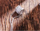 Damhalsband med kristall G506 3